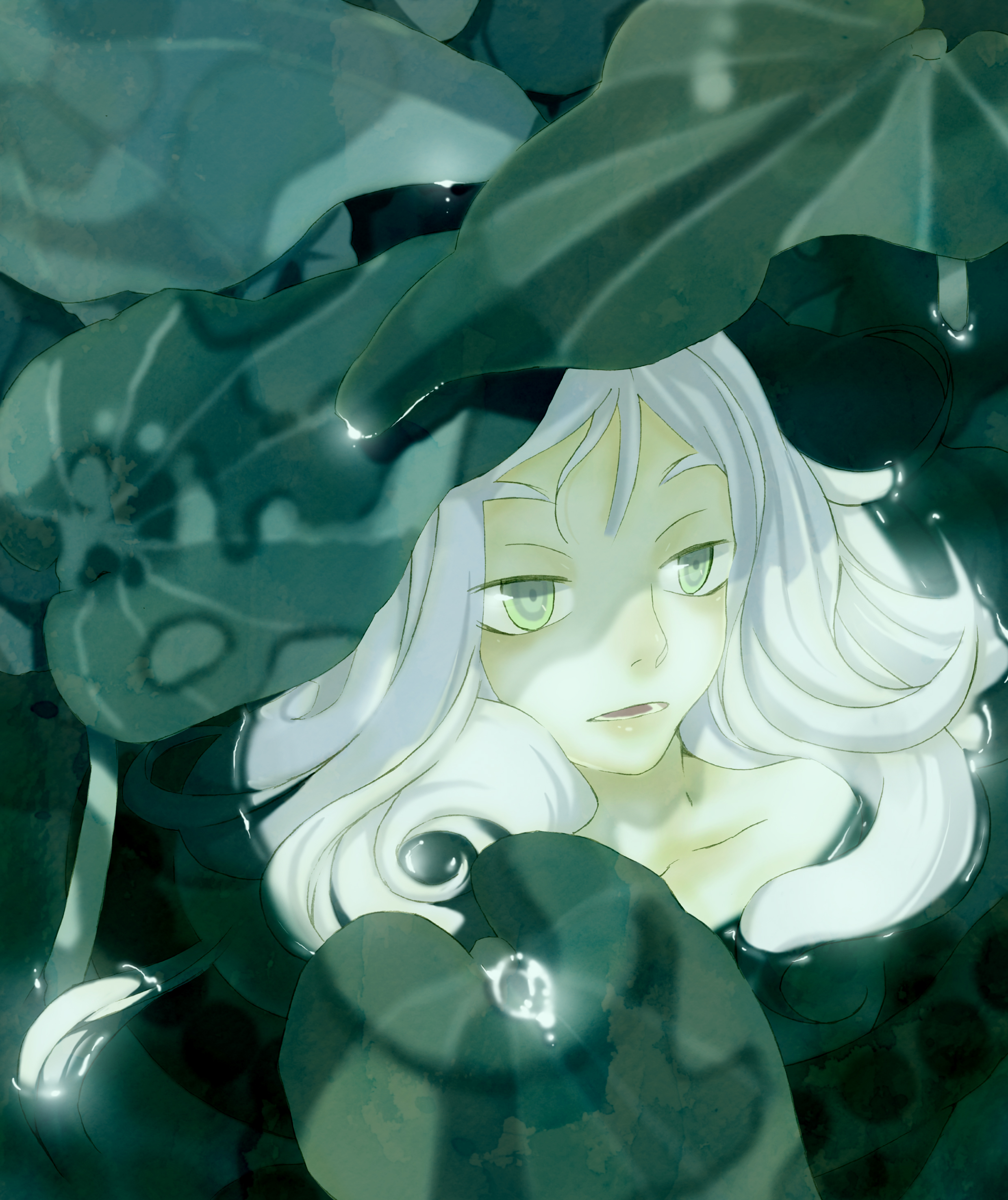 nadashima gy, original, absurdres, bad id, bad pixiv id, highres, green eyes, plant, water, white hair