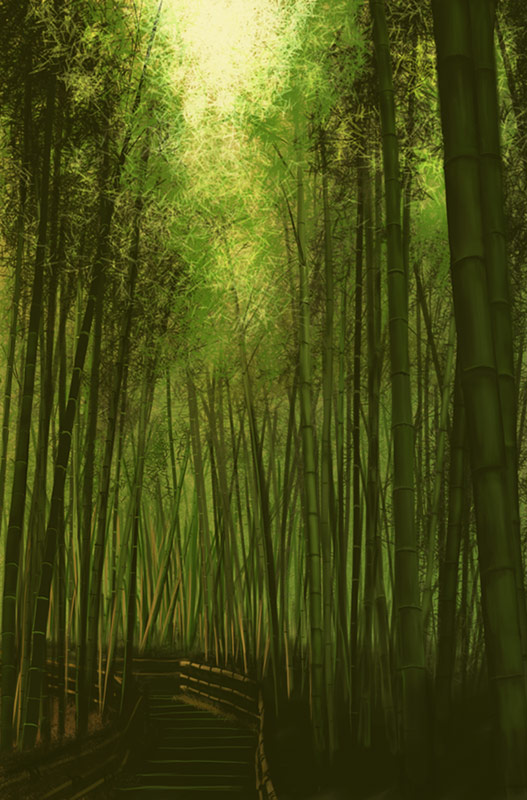 koromoya, light, bamboo, bamboo forest, forest, garden, green theme, nature, no humans, road, scenery