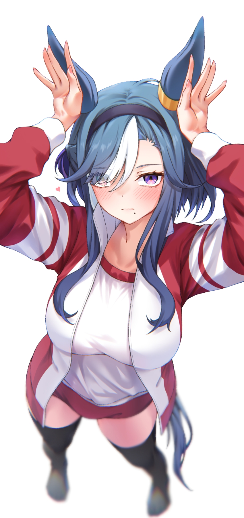 daifuku momiji, admire groove (umamusume), umamusume, highres, 1girl, animal ears, black hairband, black thighhighs, blue hair, blush, breasts, buruma, closed mouth, ear covers, eyes visible through hair, hair over one eye, hairband, horse ears, horse girl, horse tail, jacket, large breasts, long hair, looking at viewer, mole, mole under mouth, no shoes, purple hair, red buruma, red jacket, shirt, solo, tail, thighhighs, white shirt