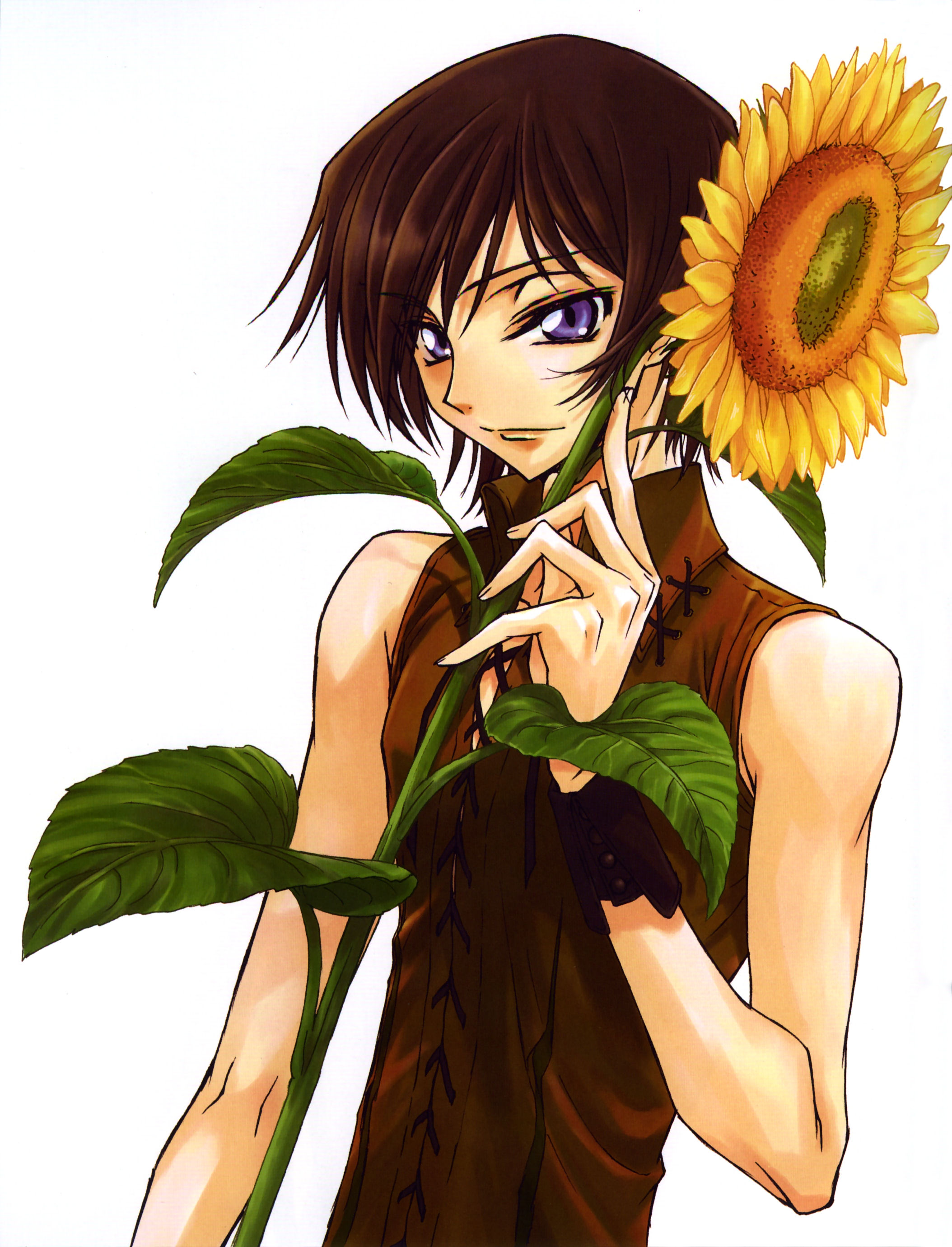 kimura takahiro, ookouchi ricca, lelouch vi britannia, code geass, absurdres, highres, 00s, 1boy, black hair, flower, male focus, purple eyes, solo, sunflower