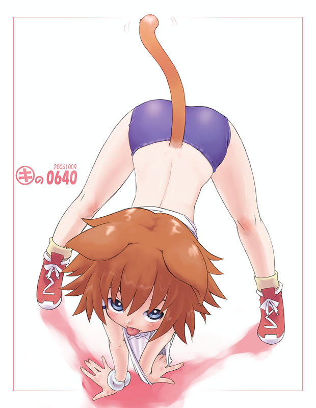 kei jiei, rosetta passel, kaleido star, 00s, 1girl, :p, all fours, animal ears, back, blue eyes, brown hair, buruma, female focus, flexible, full body, gym uniform, short hair, solo, tail, tongue, tongue out