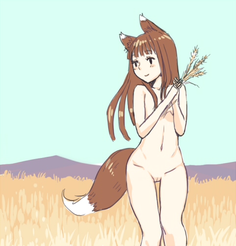 gk, holo, spice and wolf, bad id, bad pixiv id, lowres, 00s, 1girl, animal ears, brown hair, female focus, flat chest, long hair, navel, nude, outdoors, plant, pussy, sky, solo, standing, tail, uncensored, wolf ears, wolf tail