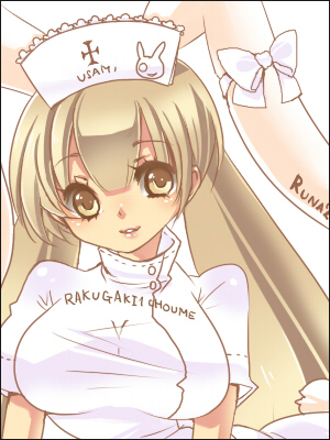 shamu neko, lowres, tagme, 1girl, female focus, nurse, ribbon, solo