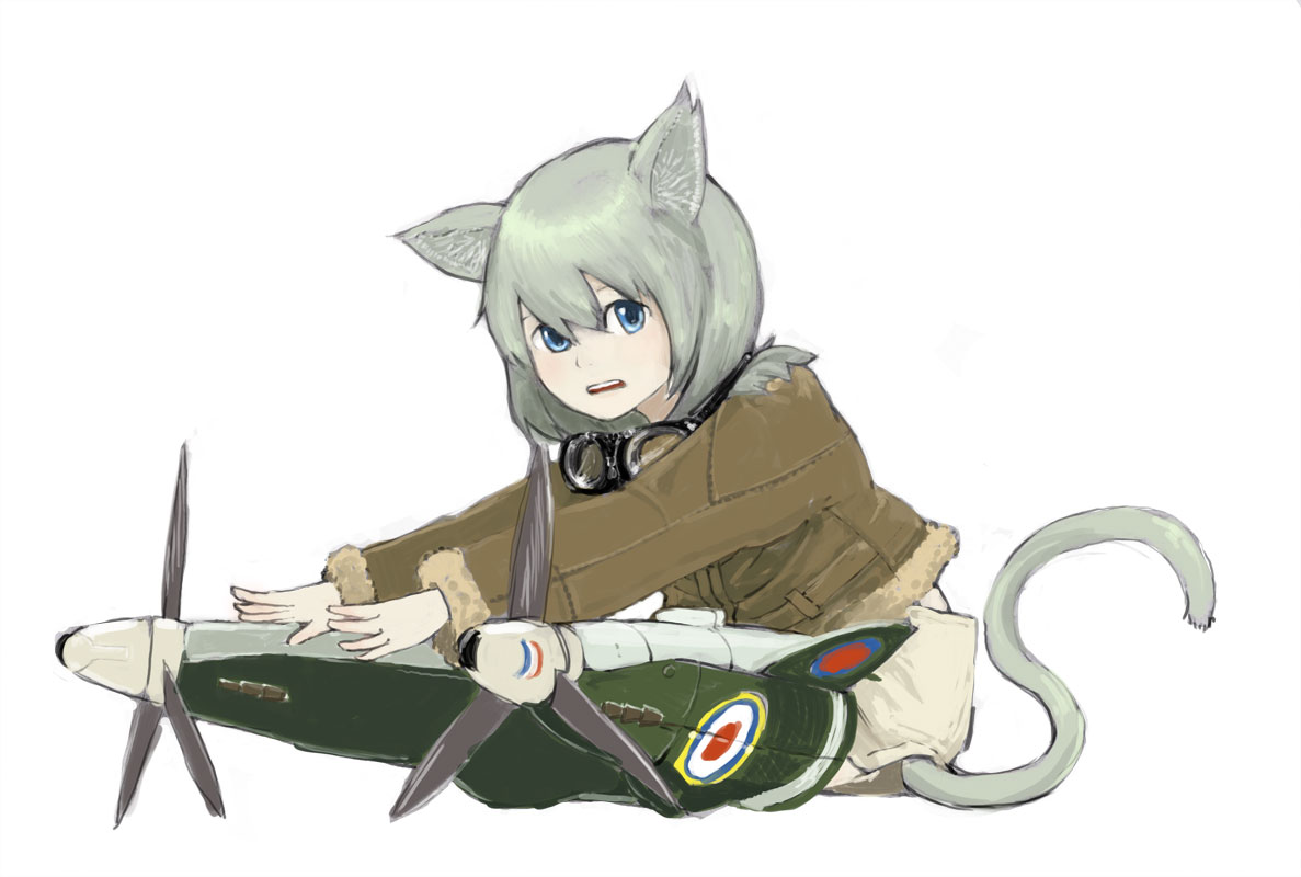 feral lemma, strike witches, world witches series, 00s, 1girl, animal ears, blue eyes, cat ears, cat tail, female focus, fur trim, goggles, jacket, leather, leather jacket, mecha musume, simple background, solo, spitfire mk v, striker unit, tail, white background