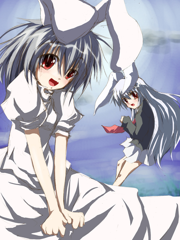 remyu, inaba tewi, reisen udongein inaba, touhou, 2girls, animal ears, blush, female focus, long hair, multiple girls, outdoors, rabbit ears, short hair, sky