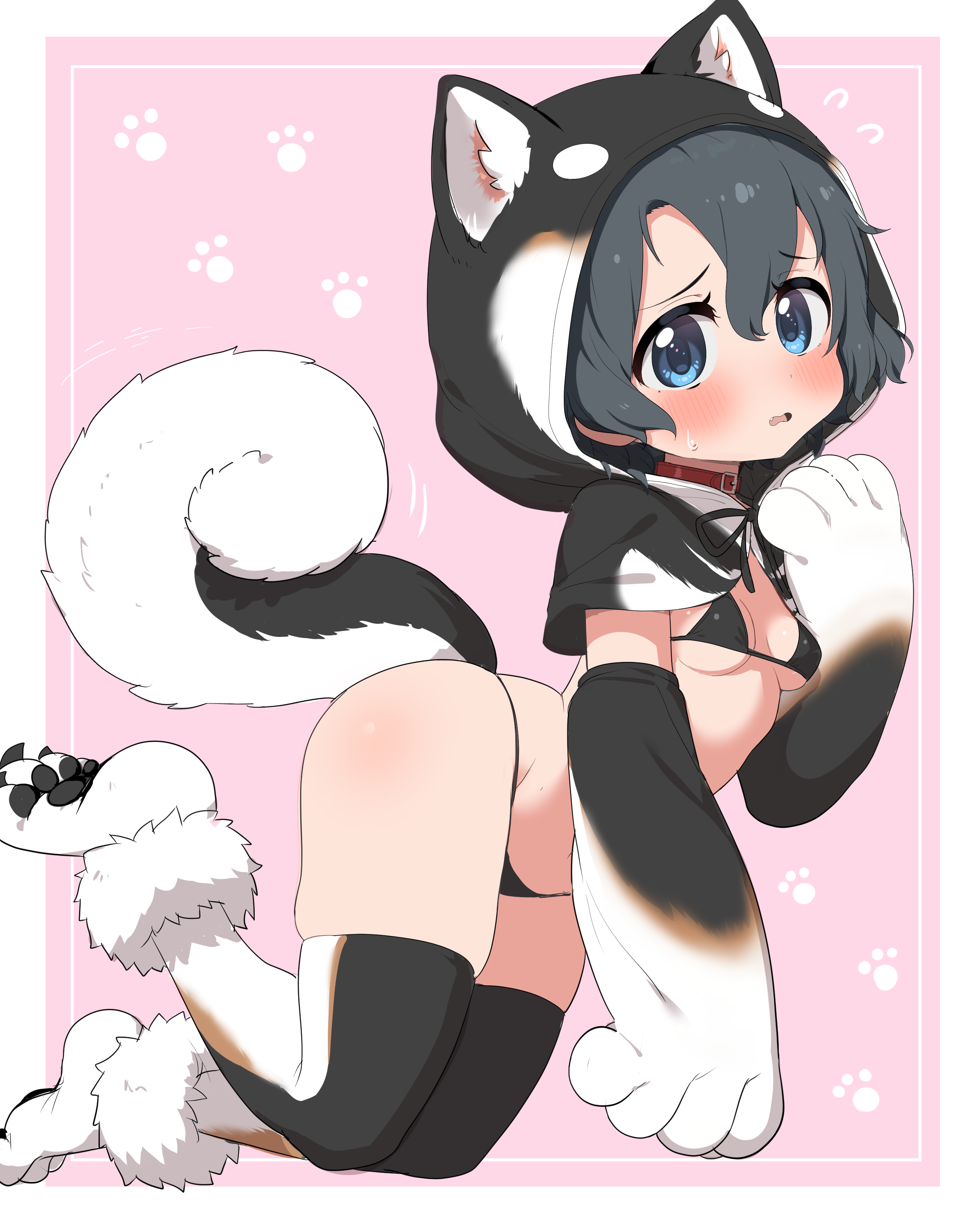 ransusan, kaban (kemono friends), kemono friends, absurdres, commentary, highres, 1girl, alternate costume, animal ear fluff, animal hands, animal hood, animal print, bikini, black bikini, blue eyes, blush, breasts, capelet, collar, dog hood, dog tail, elbow gloves, fur-trimmed shoes, gloves, hood, hooded capelet, hoodie, looking at viewer, micro bikini, paw gloves, paw shoes, pink background, print gloves, print hoodie, print thighhighs, red collar, shoes, simple background, skindentation, small breasts, solo, string bikini, swimsuit, tail, thighhighs, white shoes