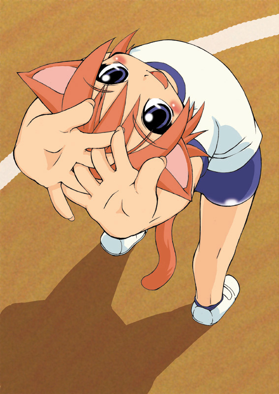 aab, aab ex, 1girl, androgynous, animal ears, blush, buruma, cat ears, cat girl, cat tail, female focus, from above, gym uniform, looking at viewer, looking up, red hair, solo, standing, tail