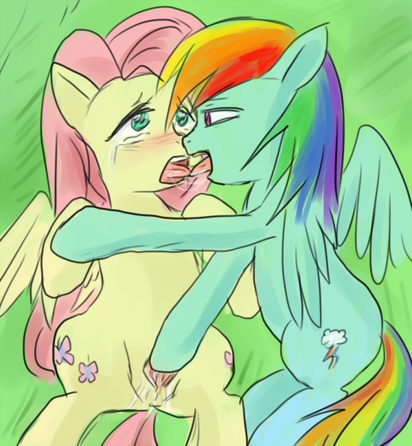 Rule34 – If it exists, there is porn of it / fluttershy (mlp), rainbow dash (mlp) / 18016