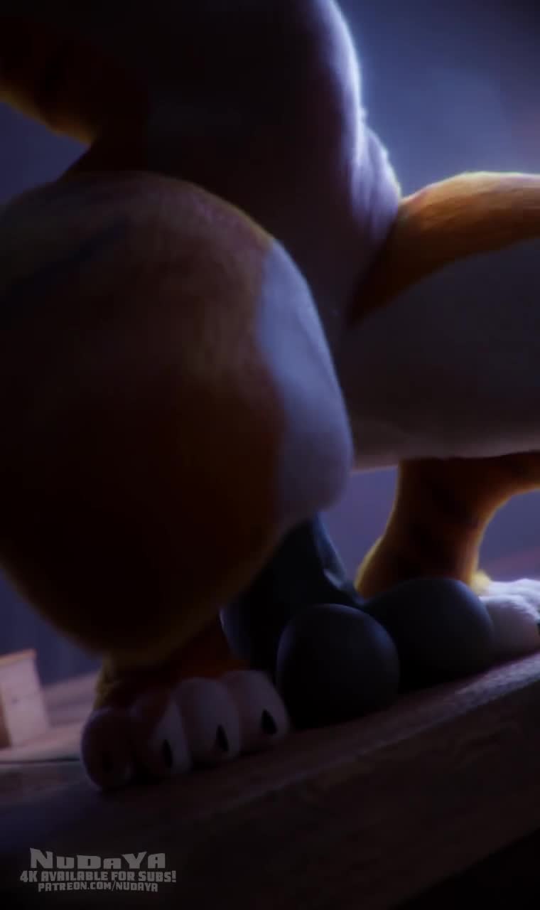 Rule34 – If it exists, there is porn of it / master tigress / 8639872