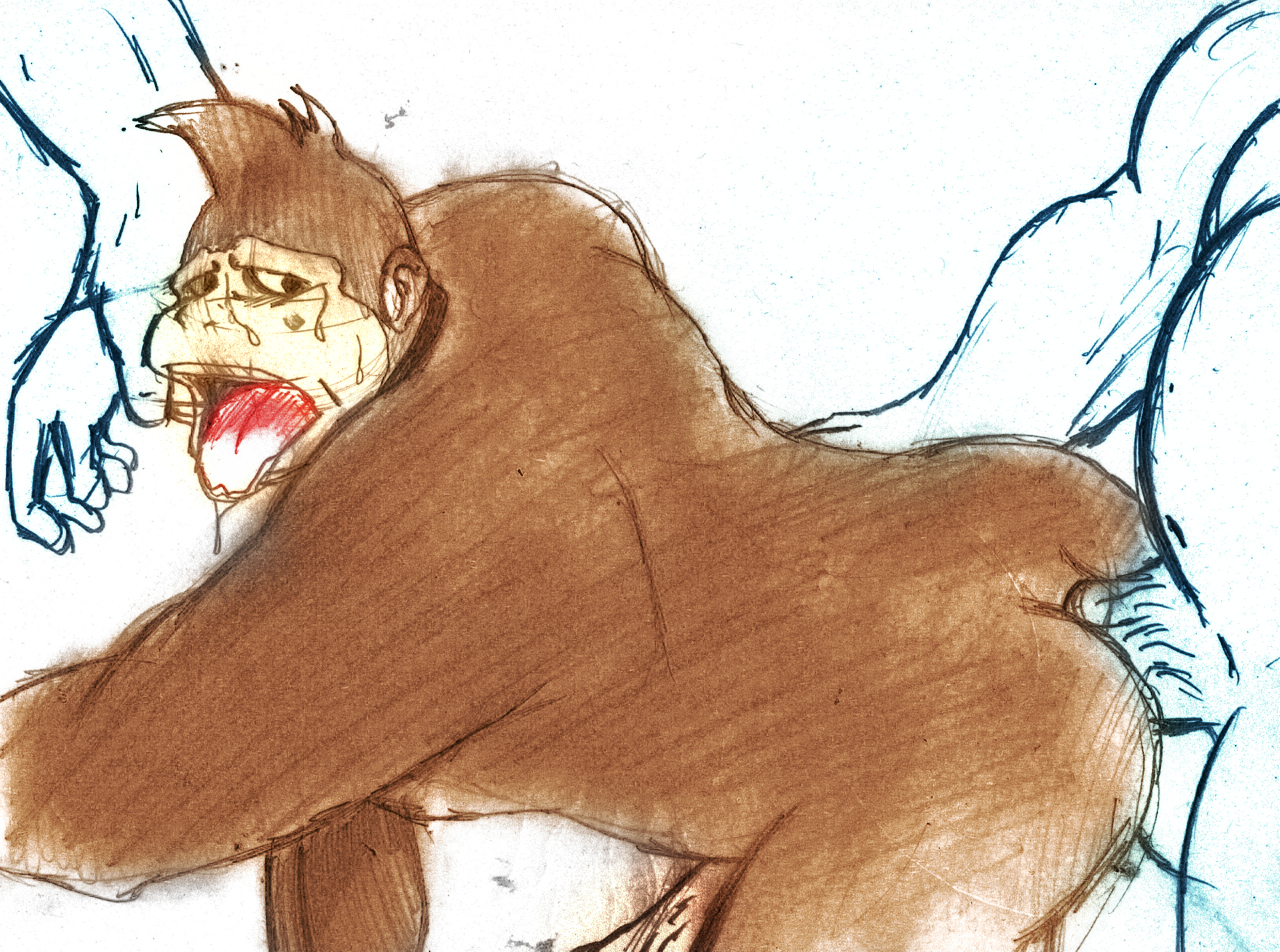 Rule34 – If it exists, there is porn of it / donkey kong, kong / 18556