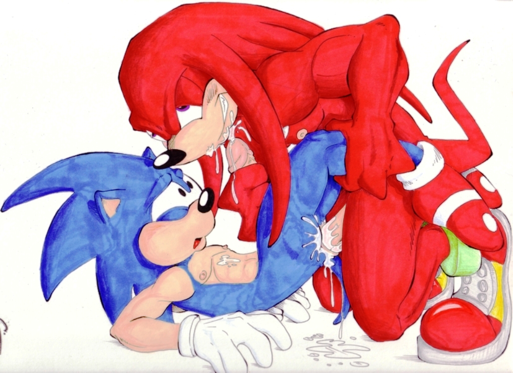 Rule34 – If it exists, there is porn of it / knuckles the echidna, sonic the hedgehog / 18757