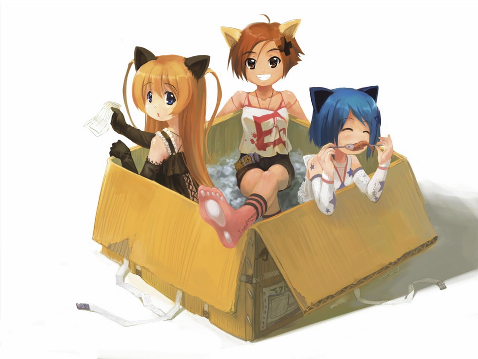 observerz, inamori mika, odori momoha, uehara mutsuki, gakuen utopia manabi straight!, bad id, bad pixiv id, 00s, 3girls, animal ears, animal hands, blonde hair, blue eyes, blue hair, box, brown eyes, brown hair, cardboard box, cat ears, elbow gloves, feet, gloves, in box, in container, long hair, multiple girls, short hair, shorts, socks