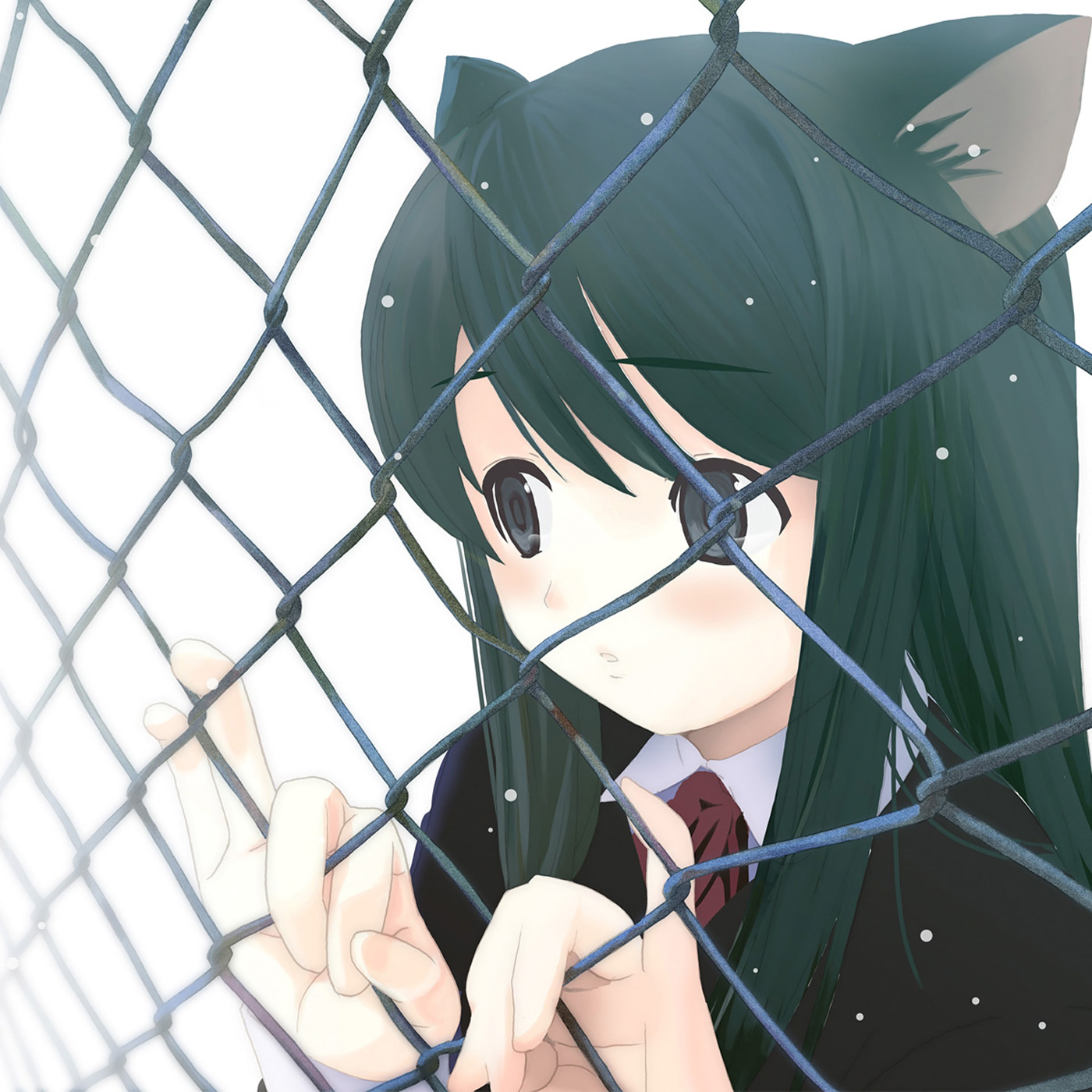 houmitsu, original, highres, source request, 1girl, animal ears, black hair, blue eyes, blush, cat ears, chain-link fence, close-up, female focus, fence, green hair, ribbon, school uniform, serafuku, snow, solo