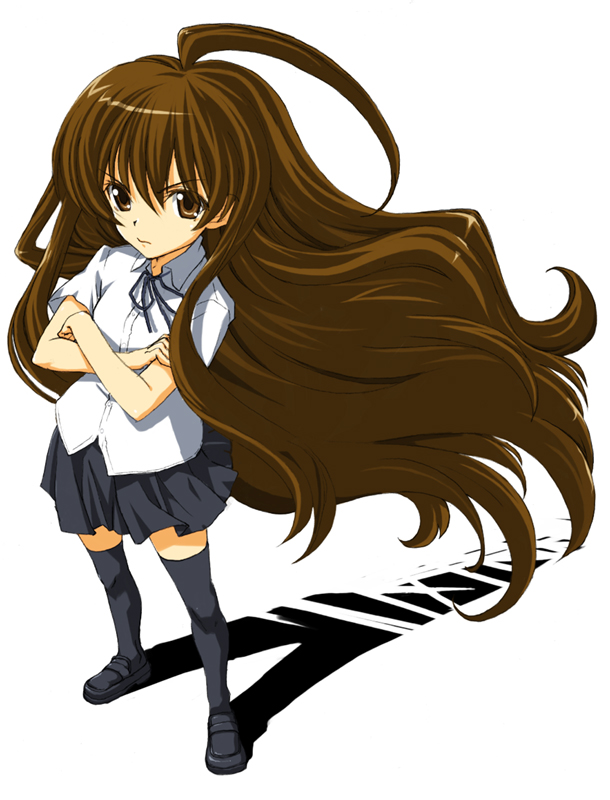 hirokiku, aisaka taiga, toradora!, bad id, bad pixiv id, 00s, 1girl, ahoge, brown eyes, brown hair, crossed arms, female focus, long hair, solo, standing, thighhighs, very long hair, zettai ryouiki