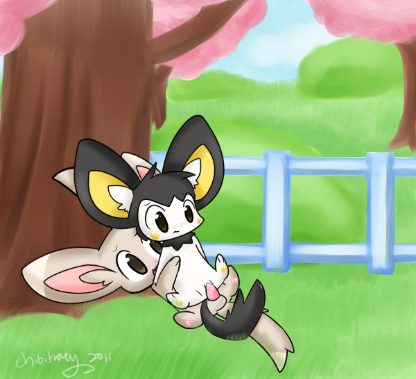 Rule34 – If it exists, there is porn of it / chibitracy, emolga, minccino / 19191
