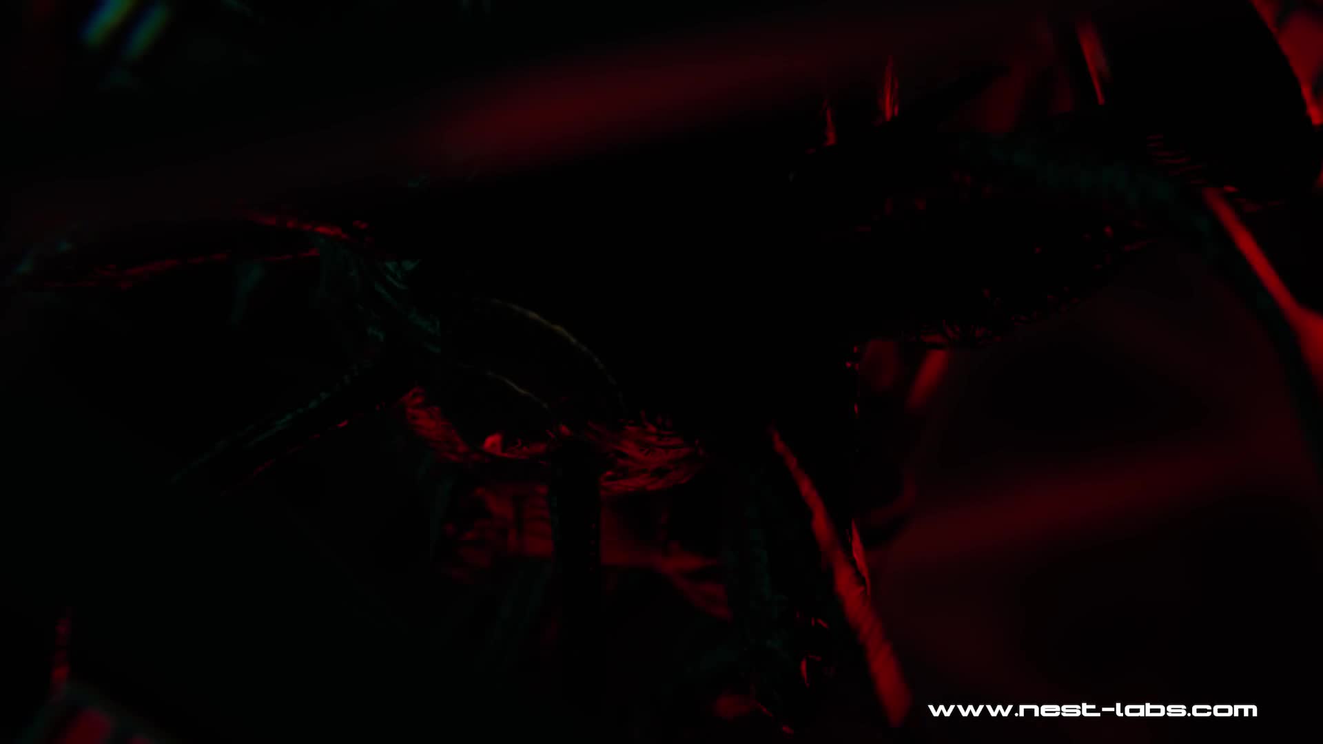 Rule34 – If it exists, there is porn of it / pixiewillow, wraith (evolve) / 8640131