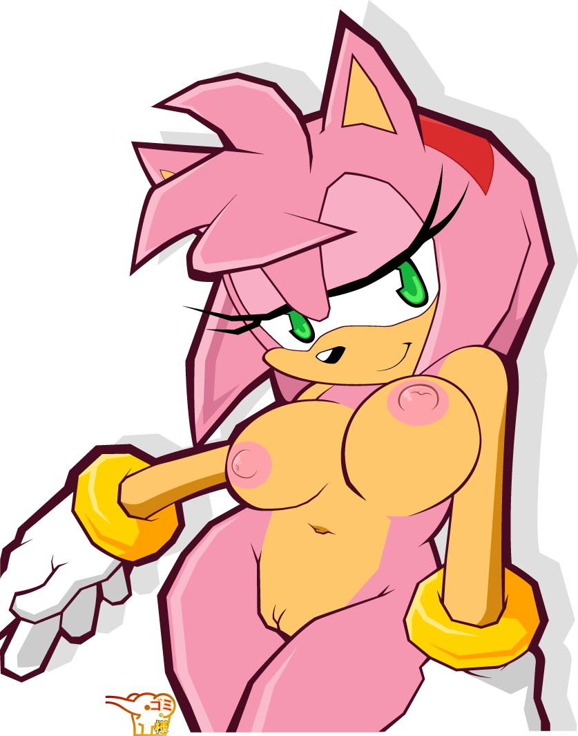 Rule34 – If it exists, there is porn of it / gomi-sama, amy rose / 20629