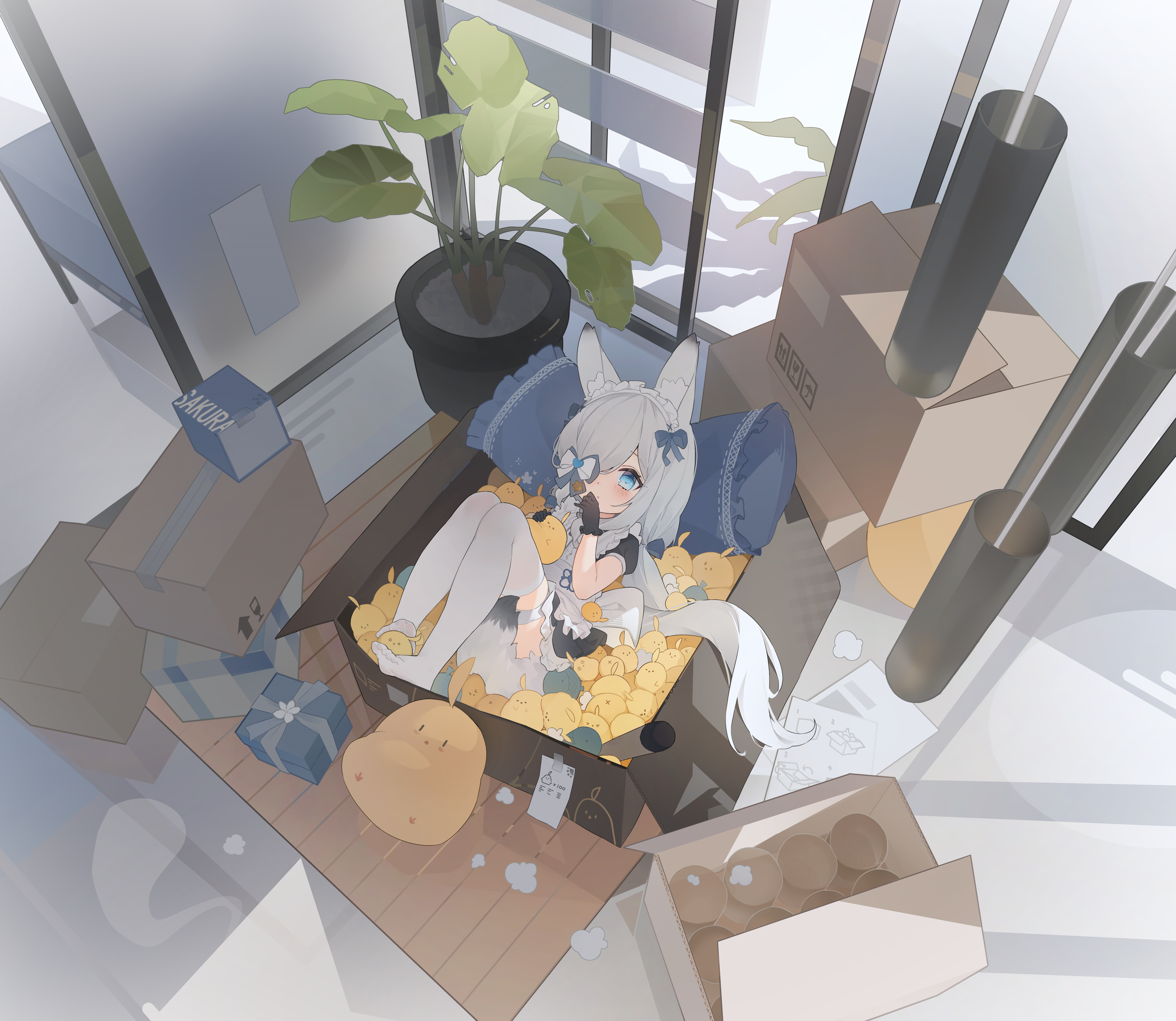 kasumi 1118, kasumi (azur lane), manjuu (azur lane), azur lane, absurdres, chinese commentary, commentary request, highres, 1girl, animal ear fluff, animal ears, blue eyes, box, cardboard box, fox ears, fox girl, fox tail, hair over one eye, in box, in container, long hair, looking at viewer, lying, pantyhose, plant, potted plant, solo, stuffed toy, tail, thighhighs, white hair, white pantyhose, white thighhighs