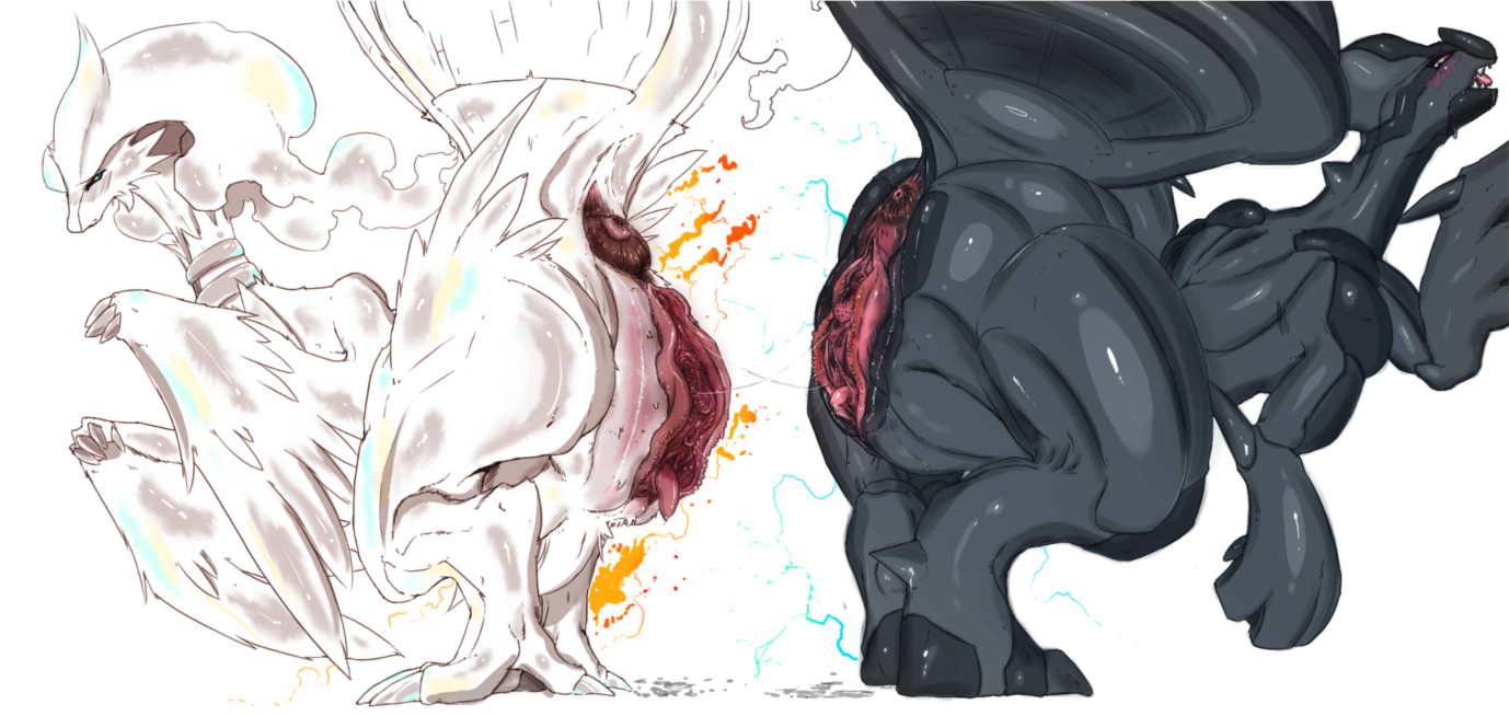 Rule34 – If it exists, there is porn of it / darthsaburou, reshiram, zekrom / 21235