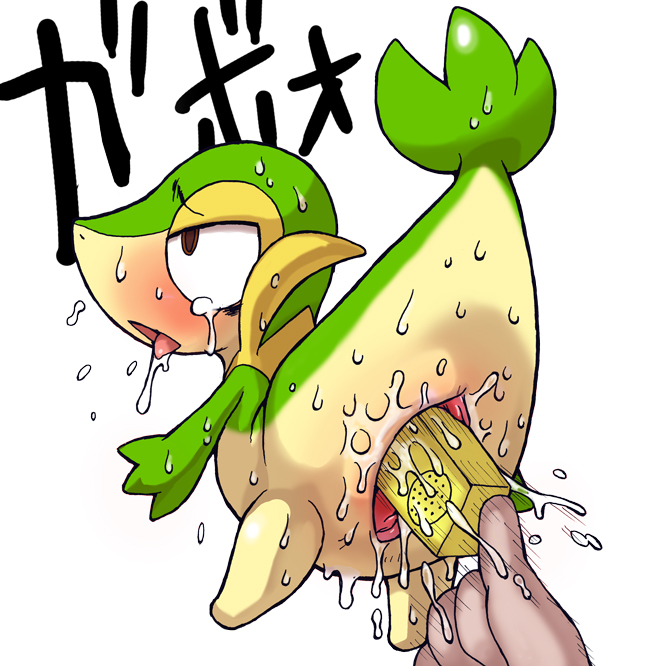 Rule34 – If it exists, there is porn of it / conigliooo, snivy / 21667