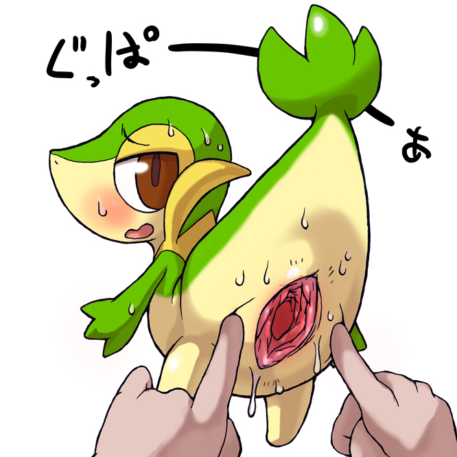 Rule34 – If it exists, there is porn of it / conigliooo, snivy / 21668