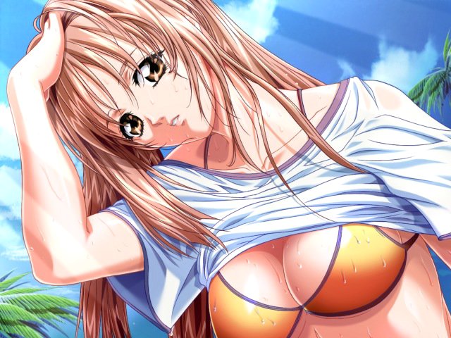 yokota mamoru, ikinari happy bell, tagme, breasts, swimsuit, wet