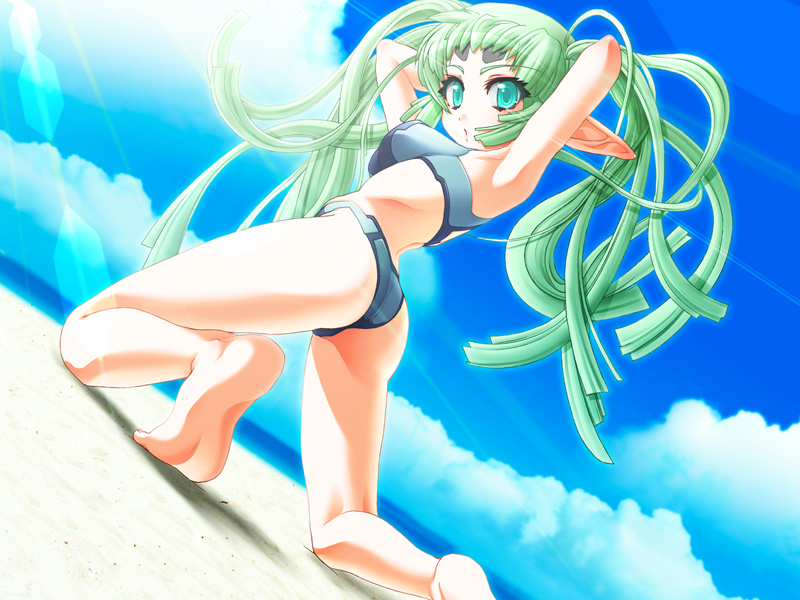 elsa, demonbane, game cg, 00s, 1girl, ass, beach, elf, female focus, green eyes, green hair, matching hair/eyes, pointy ears, single toe, sky, soles, solo, swimsuit, toes