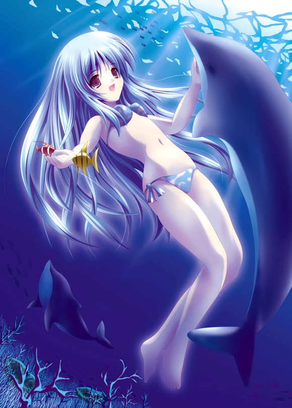 tagme, 1girl, barefoot, coral, dolphin, female focus, fish, navel, outdoors, solo, swimsuit, underwater