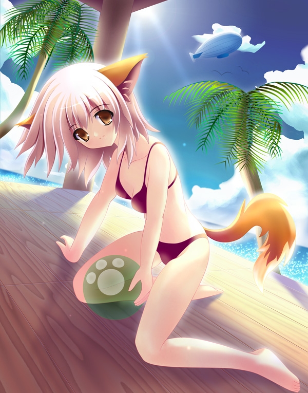 yamamoto nori, original, 1girl, aircraft, animal, animal ears, ball, barefoot, bikini, bird, breasts, brown eyes, cleavage, cloud, collarbone, dirigible, dog ears, dog girl, dog tail, grey hair, light rays, looking at viewer, medium breasts, ocean, palm tree, paw print, red bikini, seagull, short hair, sitting, sky, smile, sunbeam, sunlight, swimsuit, tail, tree, water