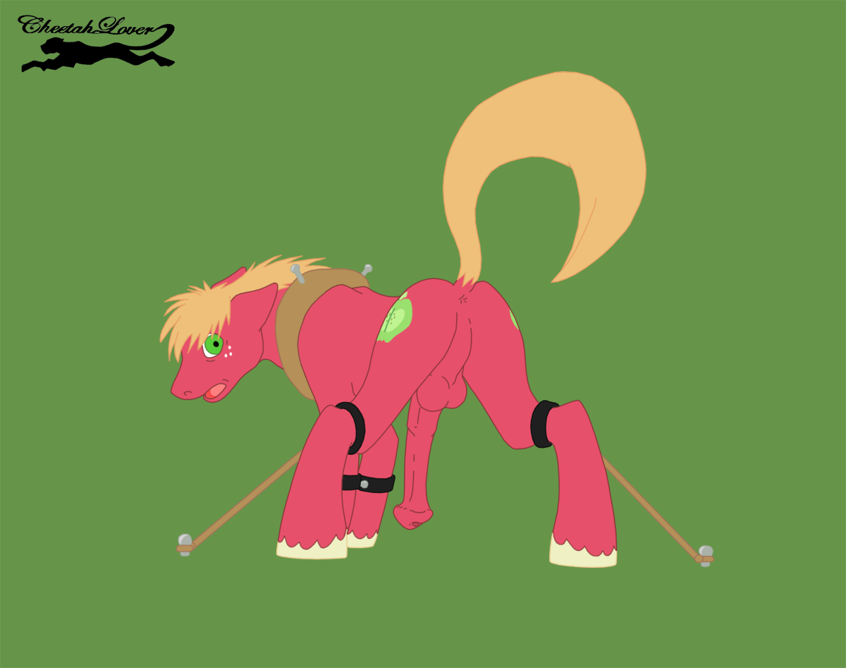 Rule34 – If it exists, there is porn of it / cheetahlover, big macintosh / 22922