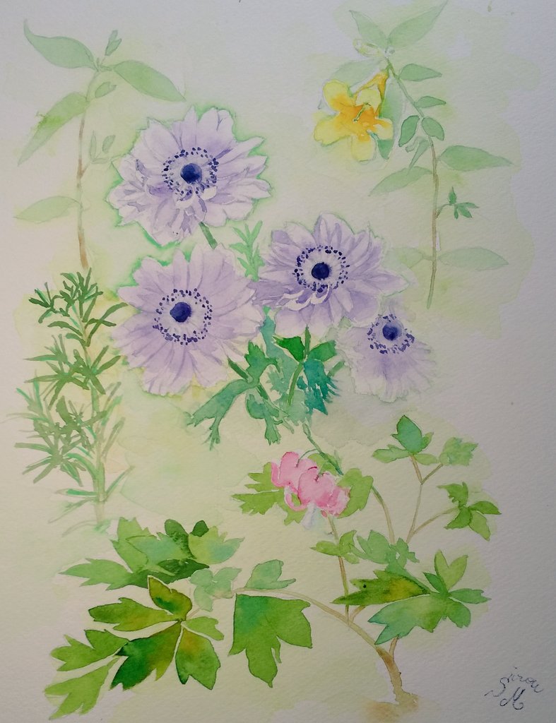 monsisiro411823, original, painting (medium), traditional media, watercolor (medium), flower, flower focus, herb, leaf, no humans, orange flower, pink flower, plant, plant focus, purple flower
