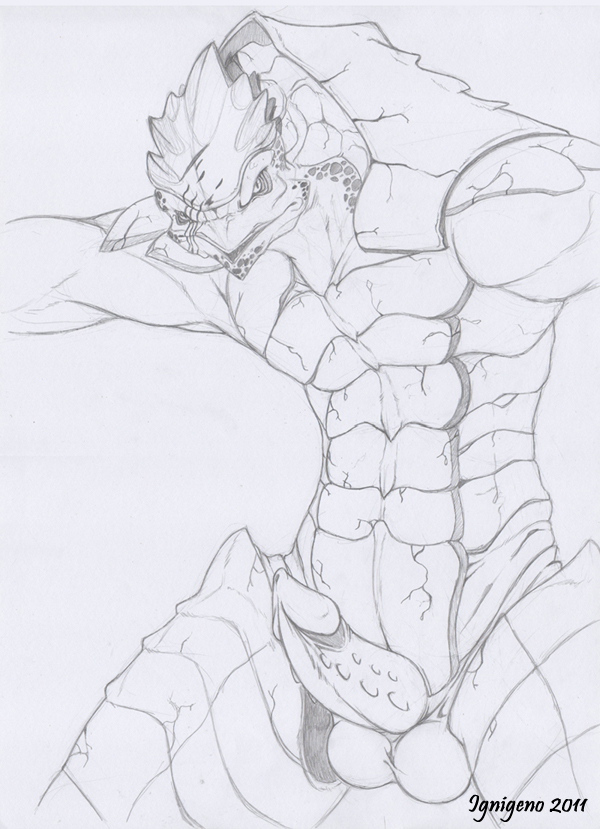 Rule34 – If it exists, there is porn of it / ignigeno, krogan, urdnot wrex / 23228