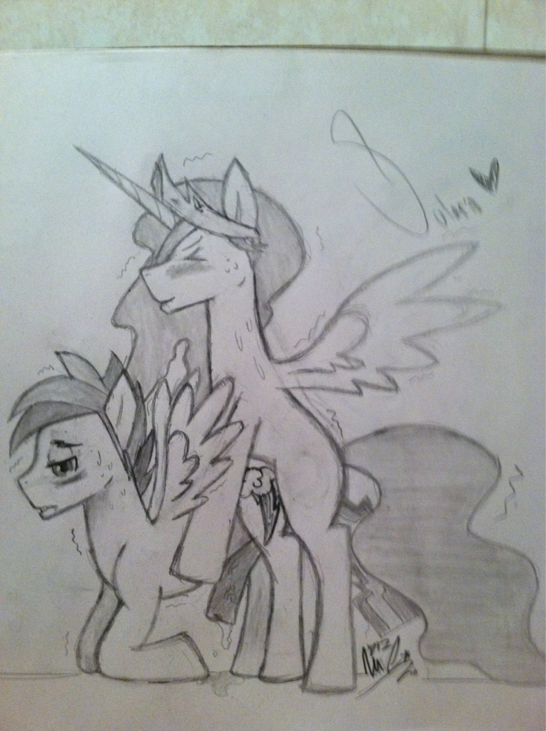 Rule34 – If it exists, there is porn of it / princess celestia, rainbow dash (mlp) / 23306