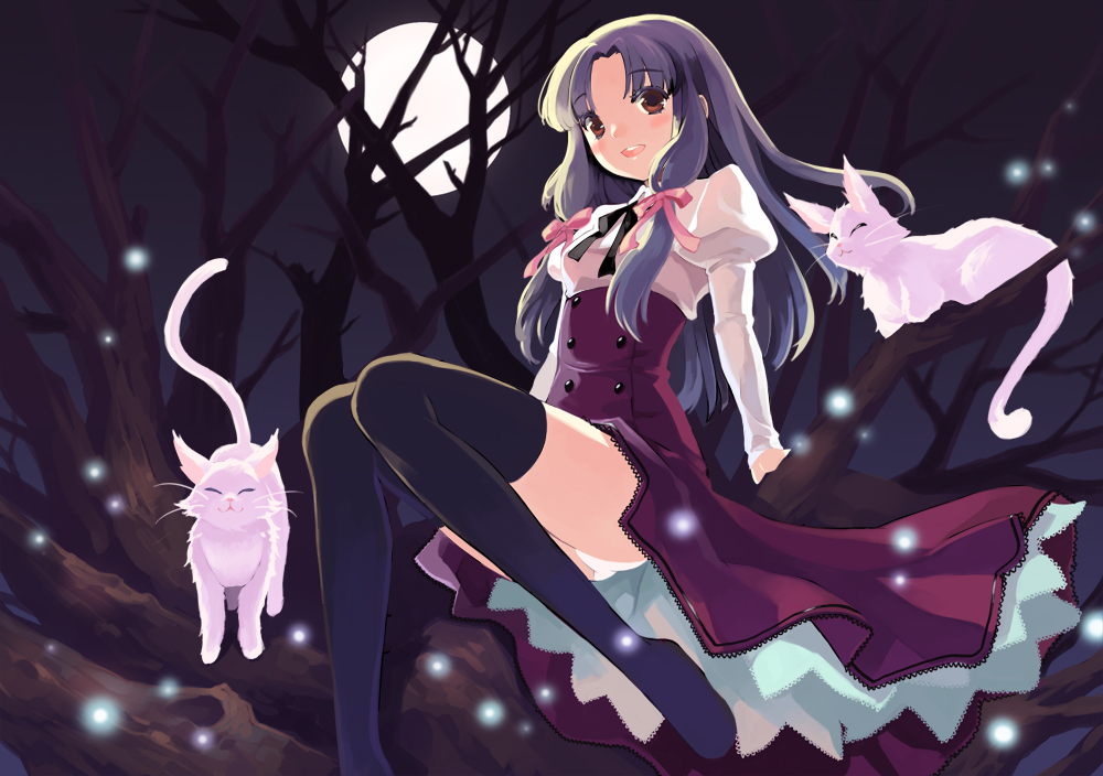 cuteg, bad id, bad pixiv id, cat, glowing, legs, moon, night, panties, pantyshot, sky, solo, thighhighs, tree, underwear