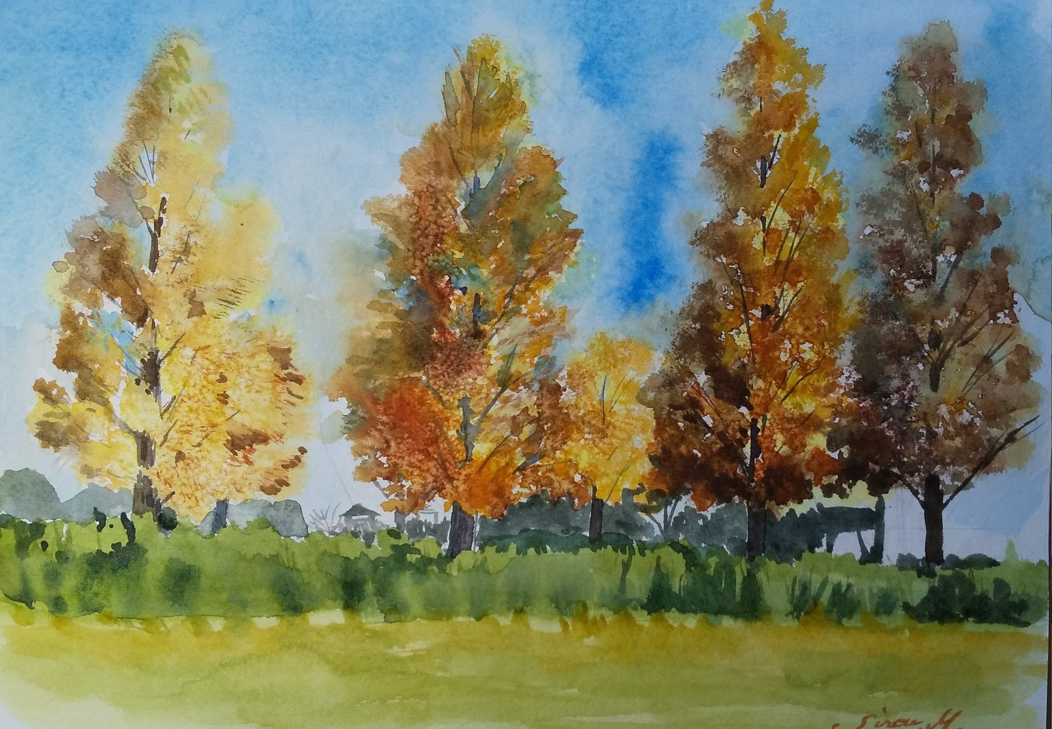 monsisiro411823, original, highres, painting (medium), photo (medium), traditional media, watercolor (medium), autumn, blue sky, day, grass, nature, no humans, outdoors, plant, scenery, shadow, sky, sunlight, tall grass, tree