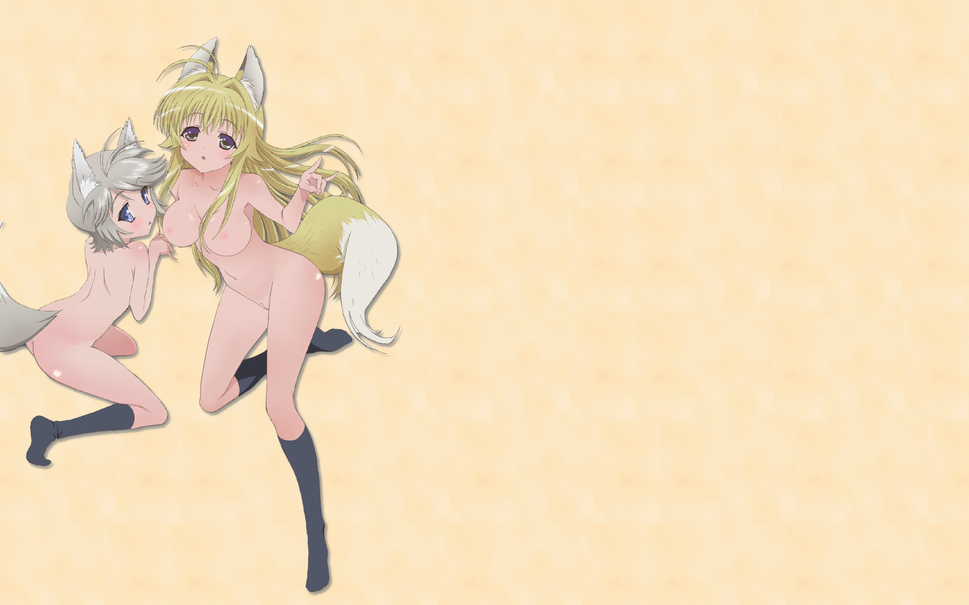 ezomori nozomu, minamoto chizuru, kanokon, silver hair, highres, jpeg artifacts, third-party edit, 00s, 2girls, animal ears, blonde hair, blue eyes, blush, breasts, cleft of venus, fox ears, kneehighs, long hair, medium breasts, multiple girls, nipples, no nose, no panties, purple eyes, pussy, short hair, socks, tail, wolf ears