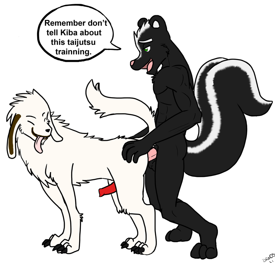 Rule34 – If it exists, there is porn of it / akamaru (naruto) / 24045
