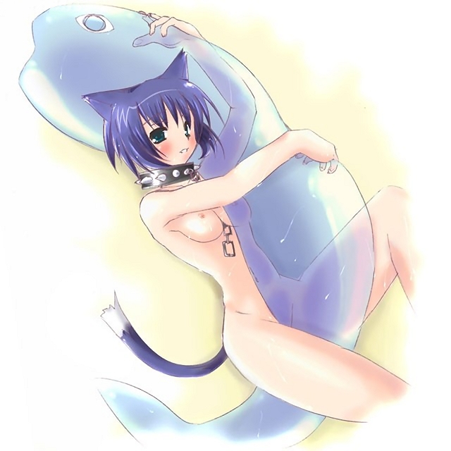 1girl, animal ears, blush, breasts, cat ears, cat tail, female focus, medium breasts, nipples, nude, short hair, solo, tail