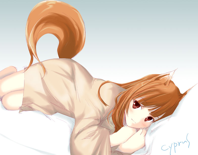 cyprus (circle), holo, spice and wolf, 00s, animal ears, solo, tail, wolf ears, wolf tail