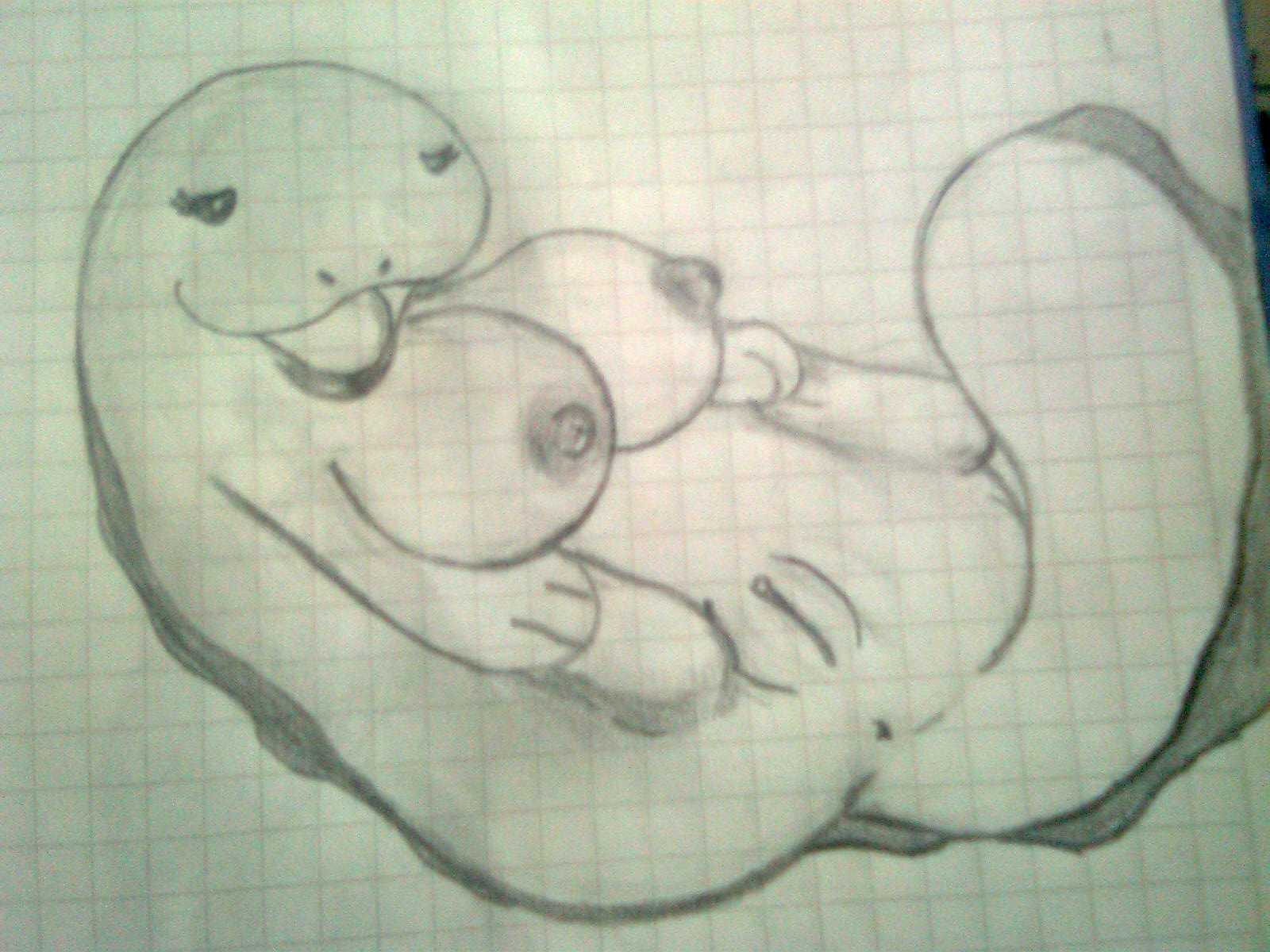 Rule34 – If it exists, there is porn of it / quagsire / 24859