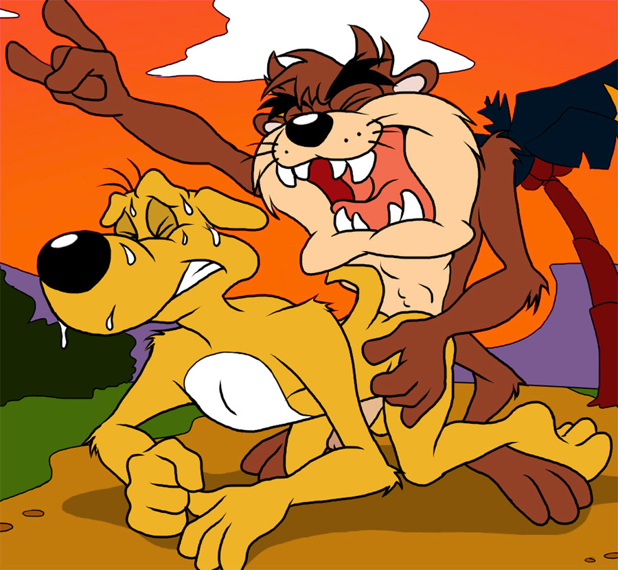 Rule34 – If it exists, there is porn of it / digeri dingo, tasmanian devil (looney tunes) / 24917