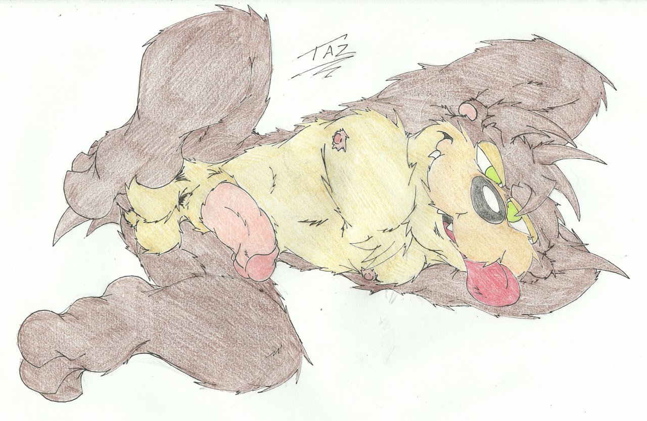 Rule34 – If it exists, there is porn of it / hopelesshighschool, tasmanian devil (looney tunes) / 24918