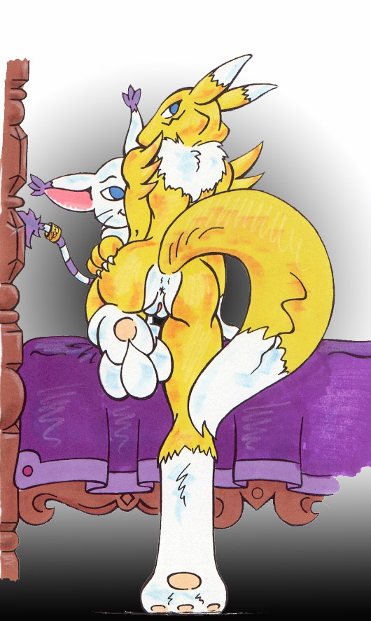Rule34 – If it exists, there is porn of it / gatomon, renamon / 25619