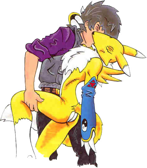 Rule34 – If it exists, there is porn of it / renamon / 25624