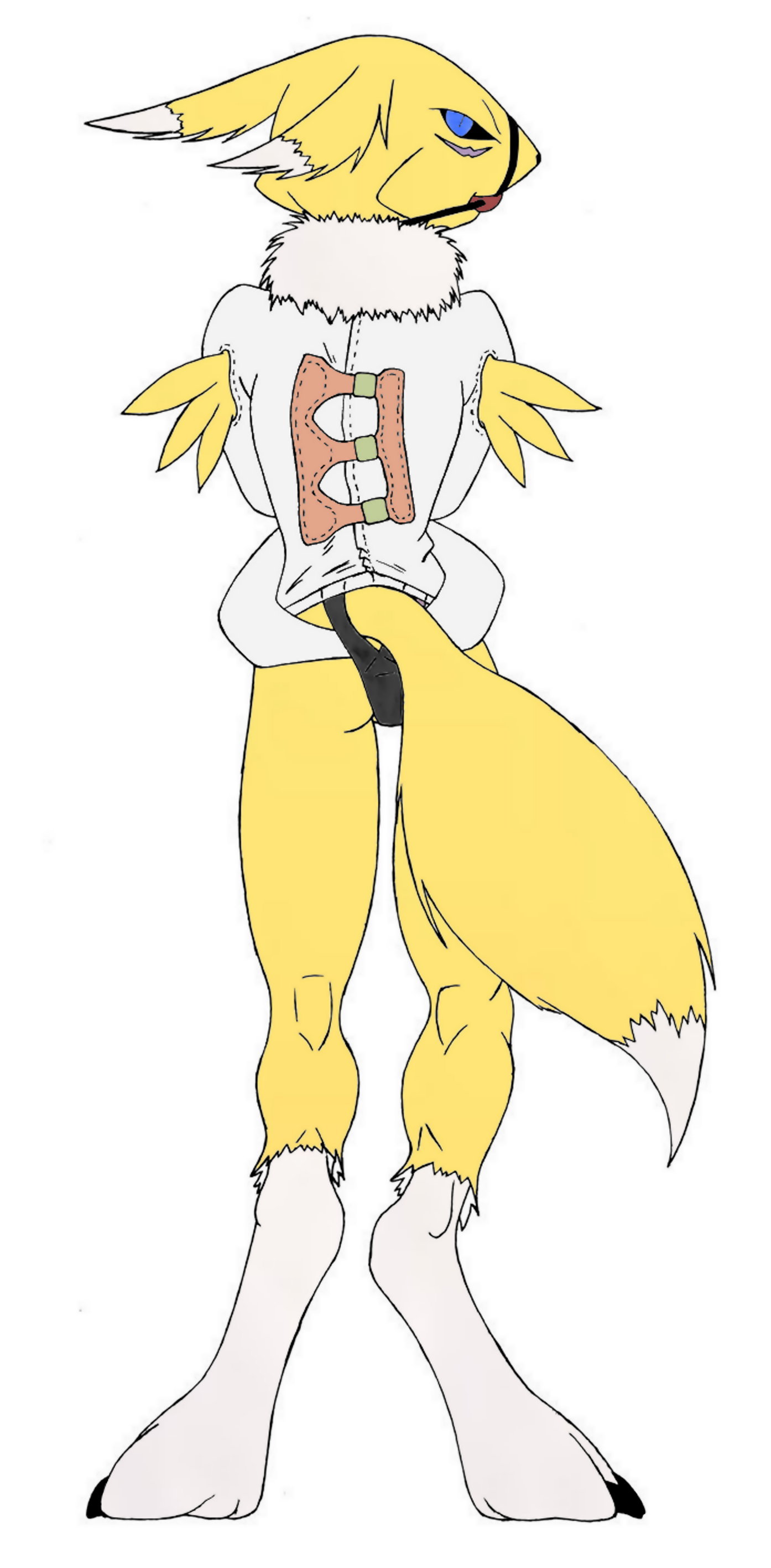 Rule34 – If it exists, there is porn of it / renamon / 25627