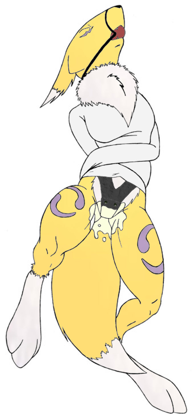 Rule34 – If it exists, there is porn of it / renamon / 25628