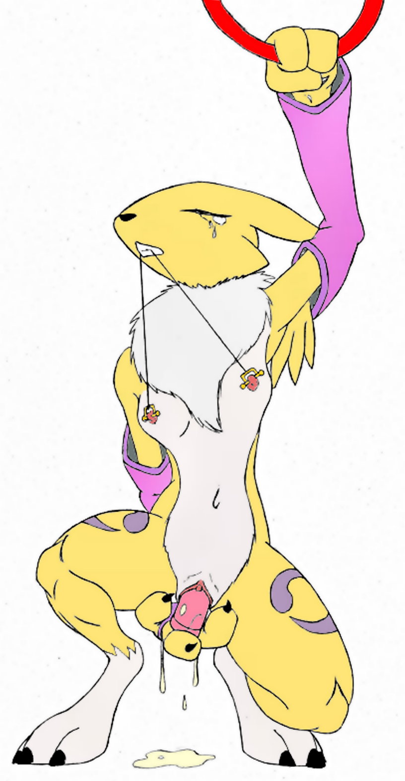 Rule34 – If it exists, there is porn of it / renamon / 25629