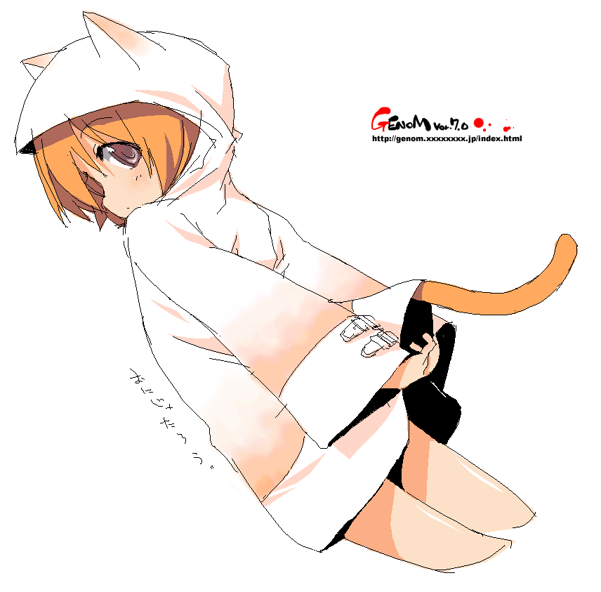 onija tarou, copyright request, animal ears, brown eyes, cat ears, cat tail, oekaki, orange hair, solo, tail