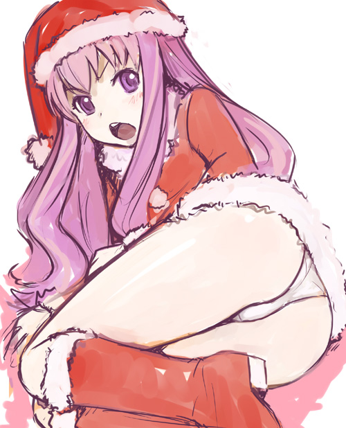 ha-ru, louise francoise le blanc de la valliere, zero no tsukaima, 00s, christmas, hat, panties, santa costume, santa hat, solo, underwear