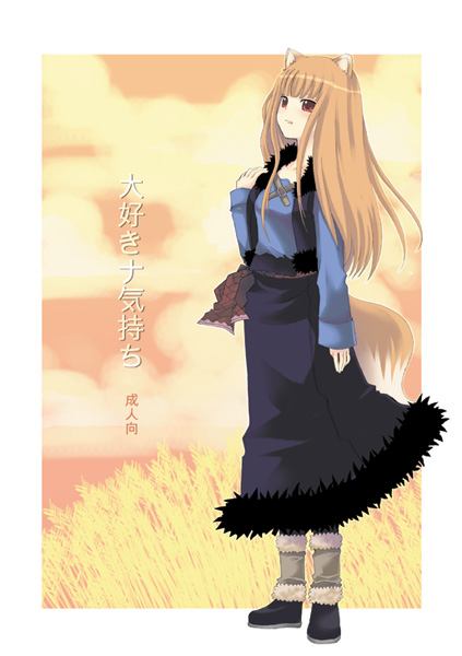 sakurai unan, holo, spice and wolf, 00s, 1girl, animal ears, female focus, outdoors, sky, solo, tail, wheat, wolf ears, wolf tail
